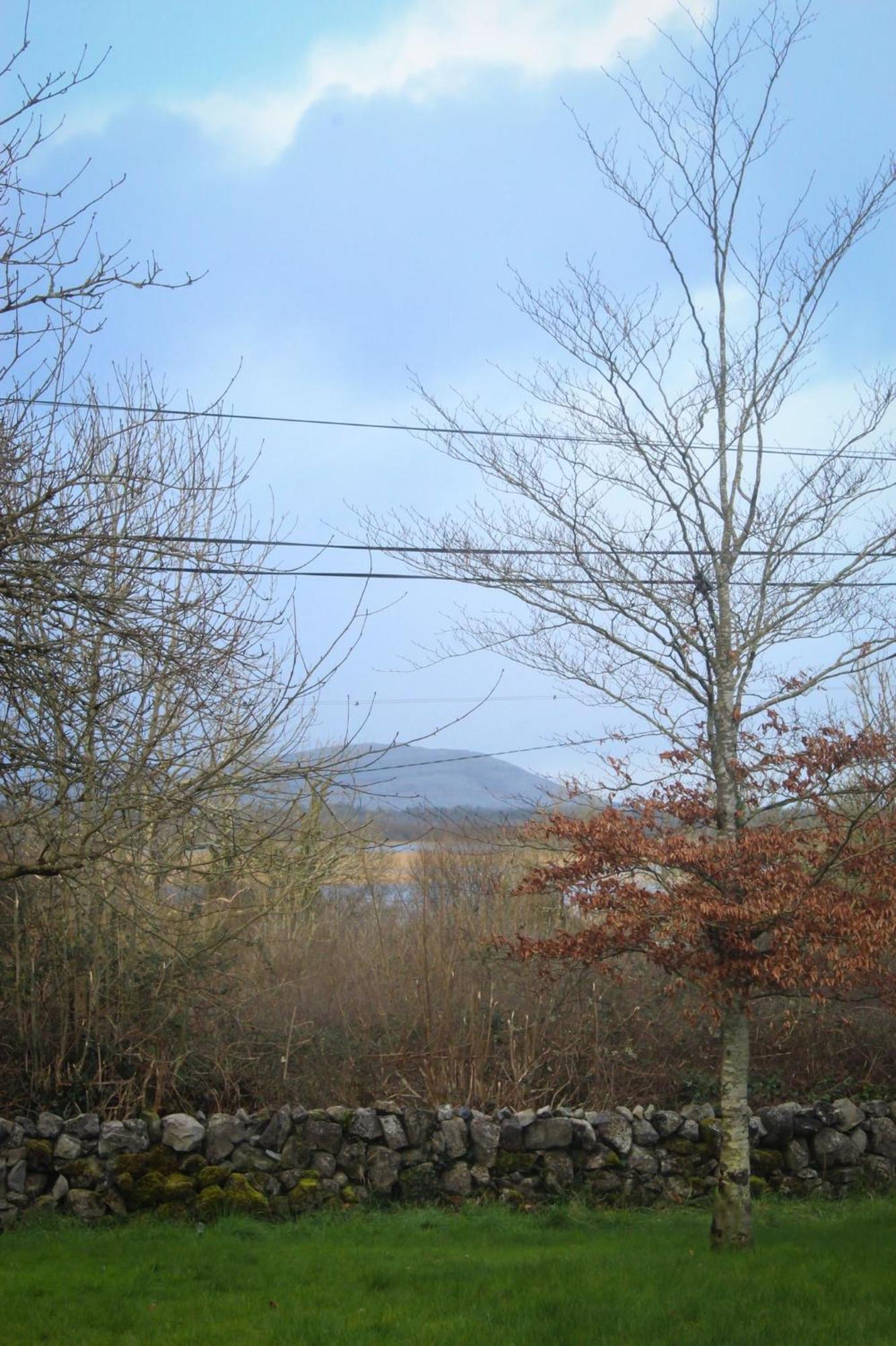 Riverside Cottage In The Burren Corofin  Zewnętrze zdjęcie