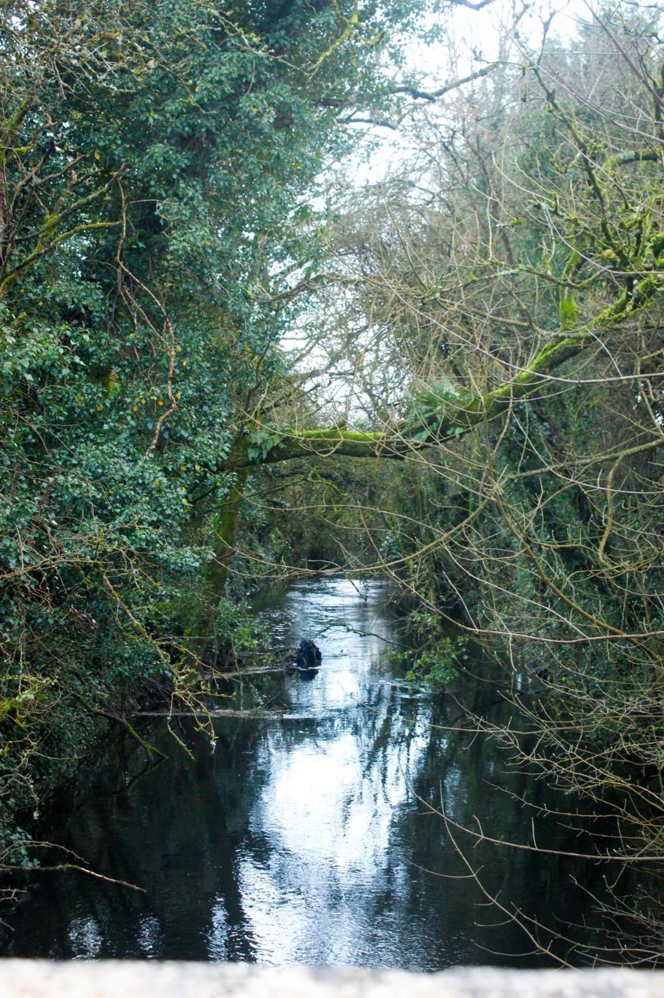 Riverside Cottage In The Burren Corofin  Zewnętrze zdjęcie